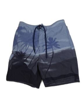 Mens Evolver Board Shorts Blue Size 36